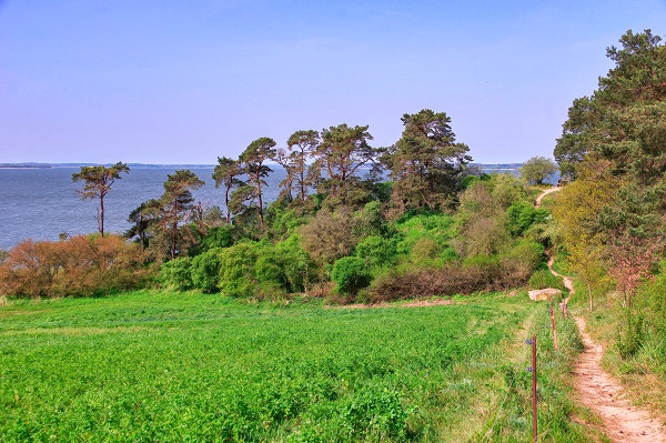 fewo-loddin-usedom-werner8